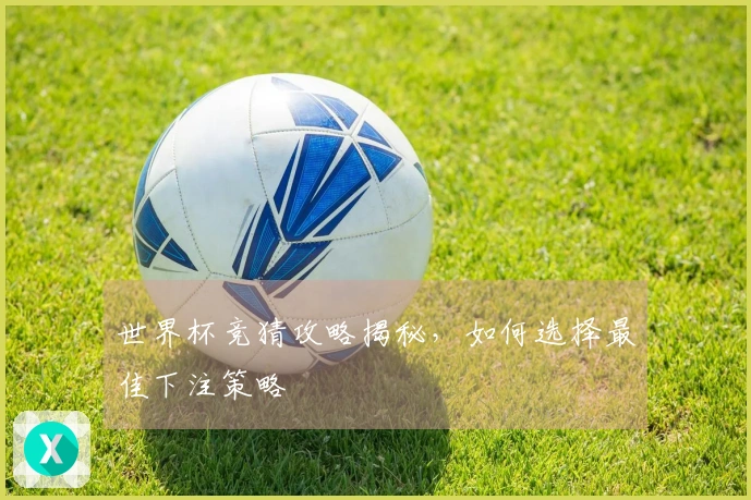 世界杯竞猜攻略揭秘，如何选择最佳下注策略