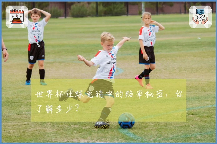 世界杯让球竞猜中的赔率秘密，你了解多少？