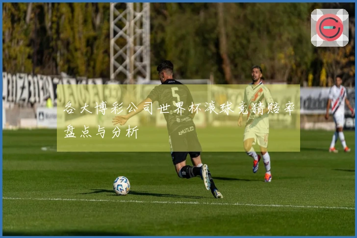 各大博彩公司世界杯滚球竞猜赔率盘点与分析