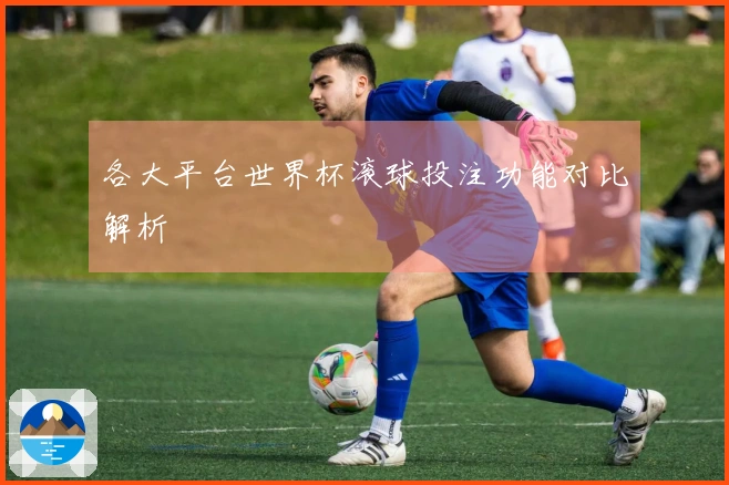 各大平台世界杯滚球投注功能对比解析