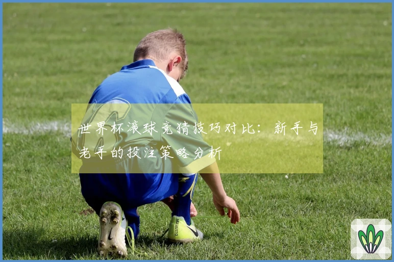 世界杯滚球竞猜技巧对比:新手与老手的投注策略分析