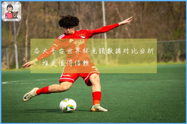 各大平台世界杯竞猜数据对比分析,谁更值得信赖
