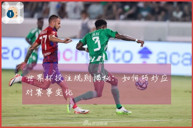 世界杯投注规则揭秘：如何巧妙应对赛事变化