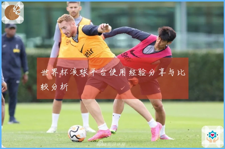 世界杯滚球平台使用经验分享与比较分析
