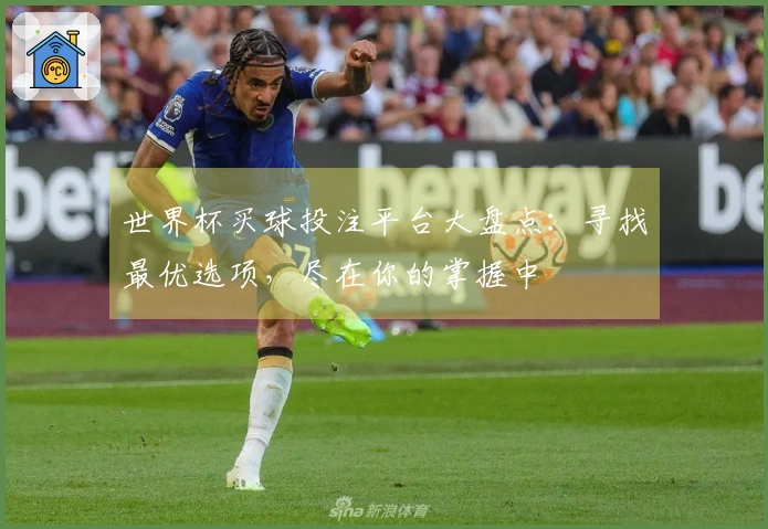 世界杯买球投注平台大盘点：寻找最优选项，尽在你的掌握中
