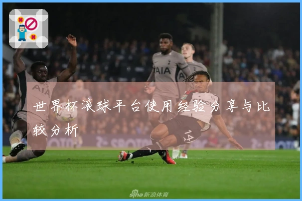 世界杯滚球平台使用经验分享与比较分析