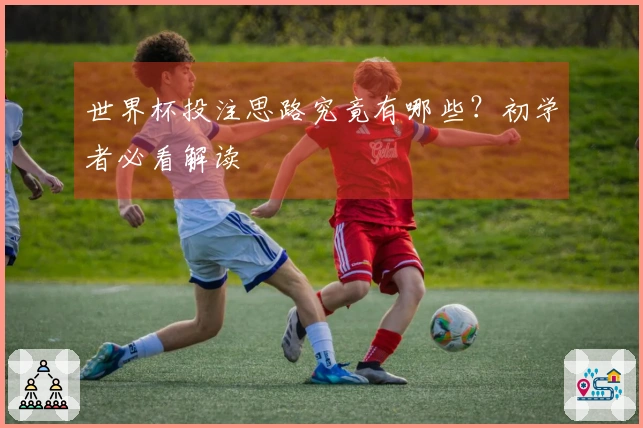 世界杯投注思路究竟有哪些?初学者必看解读