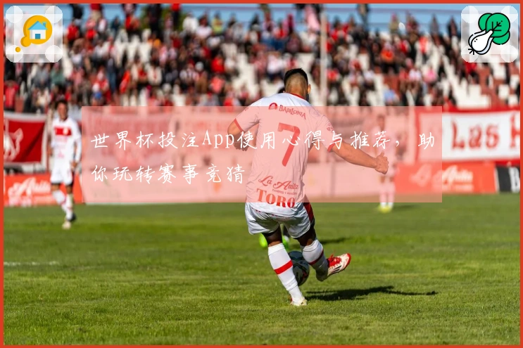 世界杯投注App使用心得与推荐，助你玩转赛事竞猜