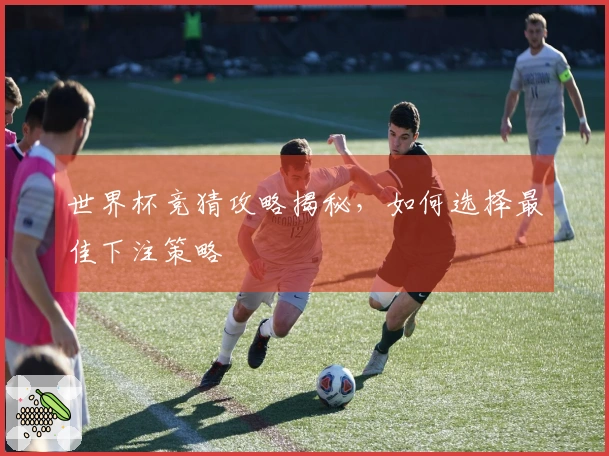 世界杯竞猜攻略揭秘,如何选择最佳下注策略