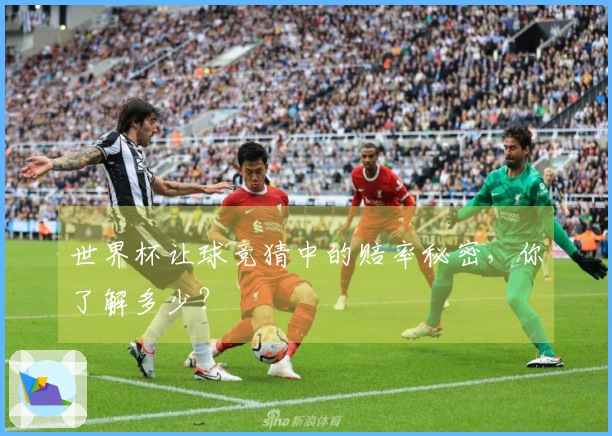 世界杯让球竞猜中的赔率秘密，你了解多少？