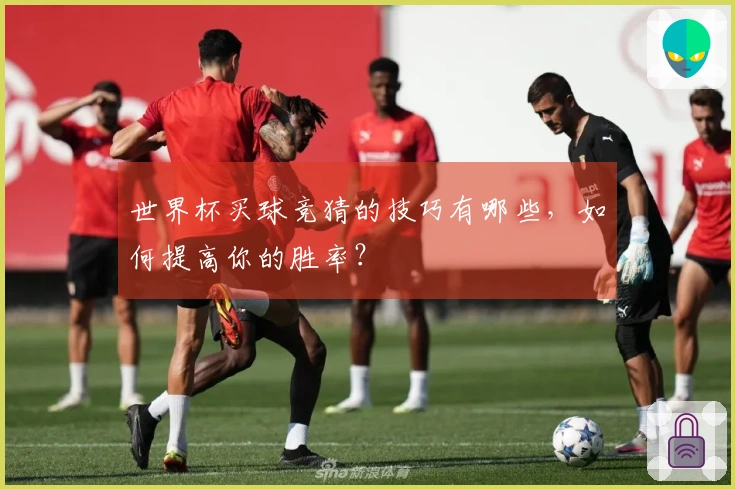 世界杯买球竞猜的技巧有哪些，如何提高你的胜率？